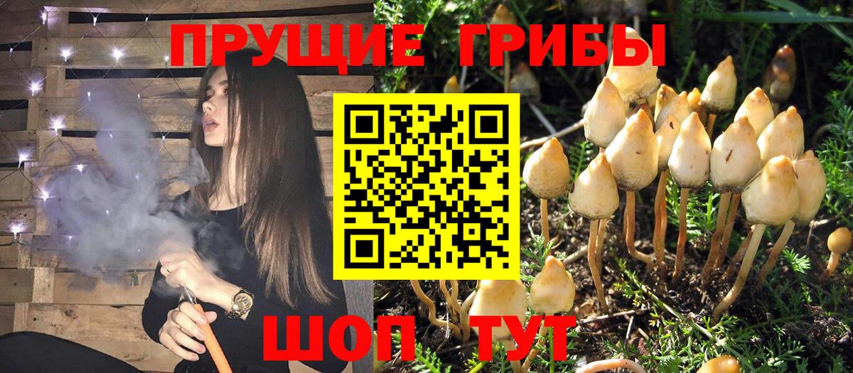 Псилоцибиновые грибы мухоморы  Вход с VPN  Новокубанск 